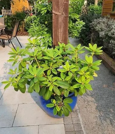 5bd 10 Min To Airport