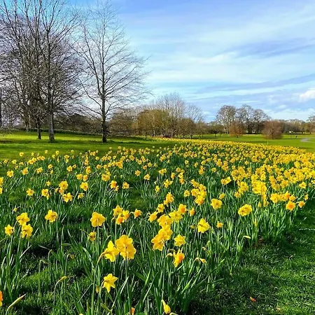 Entire 10 Min From Dublin Airport 도너베이트
