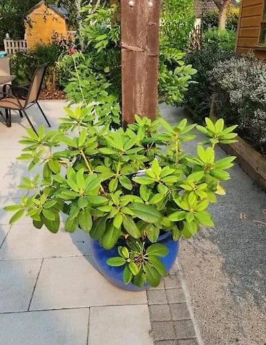 5bd 10 Min To Airport