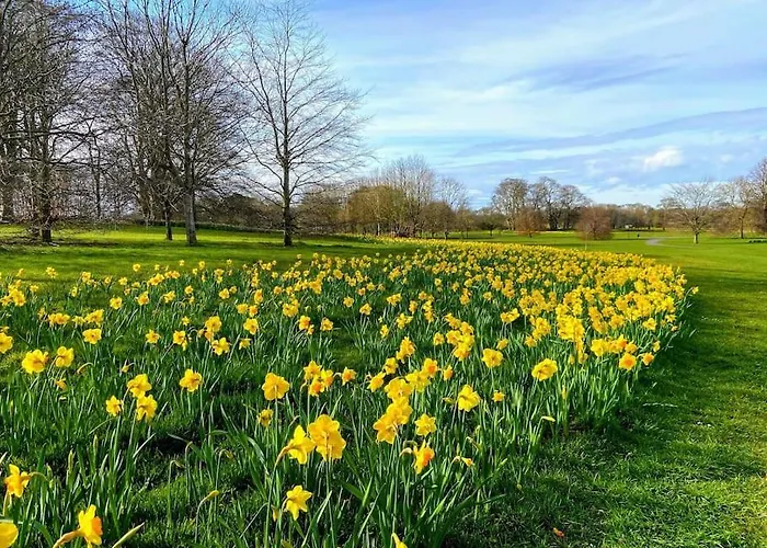 5bd 10 Min To Airport Donabate